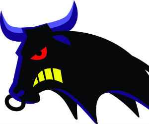 Bull Bull