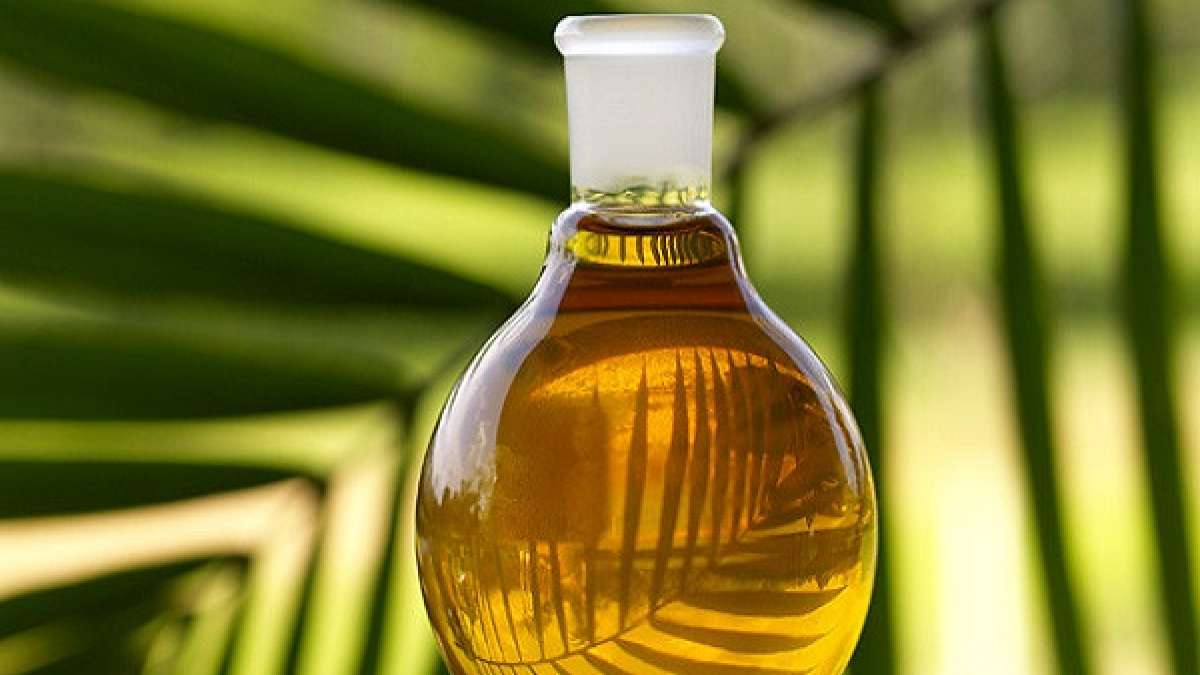 8 Best Edible Oil Company Stocks With Strong PE/EPS Fundamentals