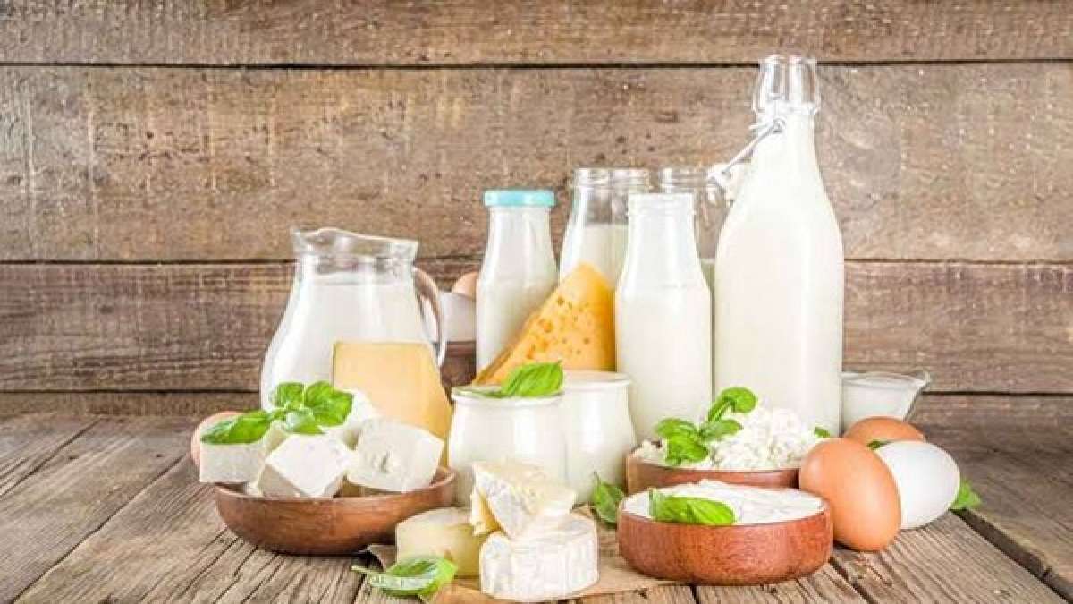Prices Of Dairy Products Likely To Remain Firm On Higher Demand Goodreturns