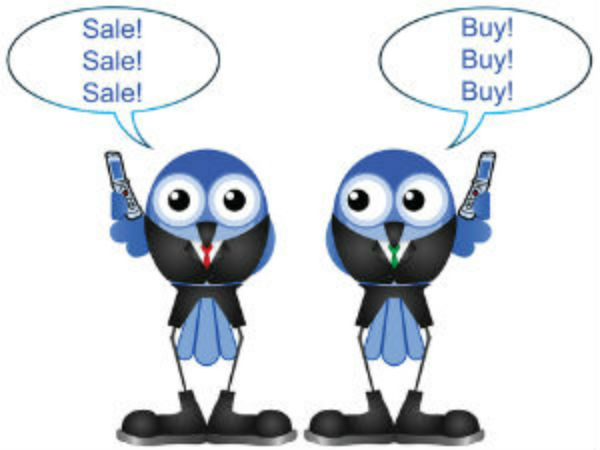 Should you buy the share now?